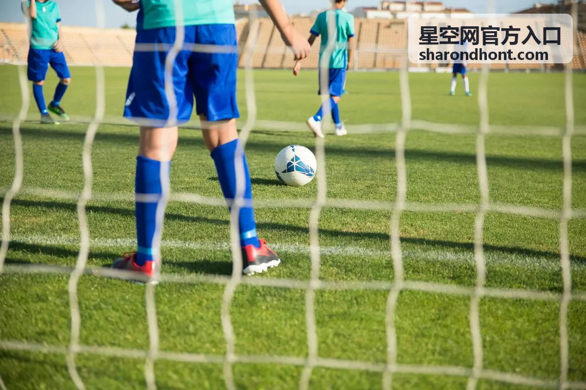 星空网官方入口 活动报名通道登记流程