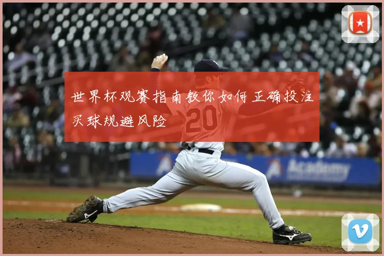 世界杯观赛指南教你如何正确投注买球规避风险