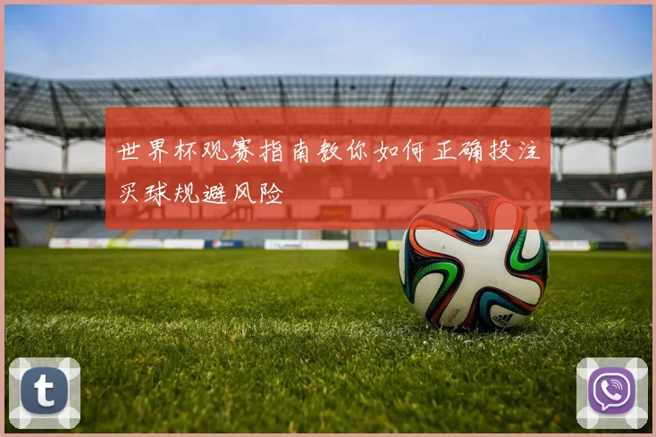 世界杯观赛指南教你如何正确投注买球规避风险