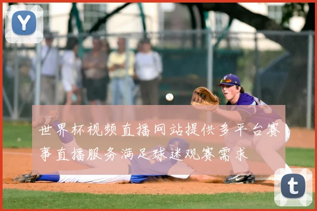 世界杯视频直播网站提供多平台赛事直播服务满足球迷观赛需求